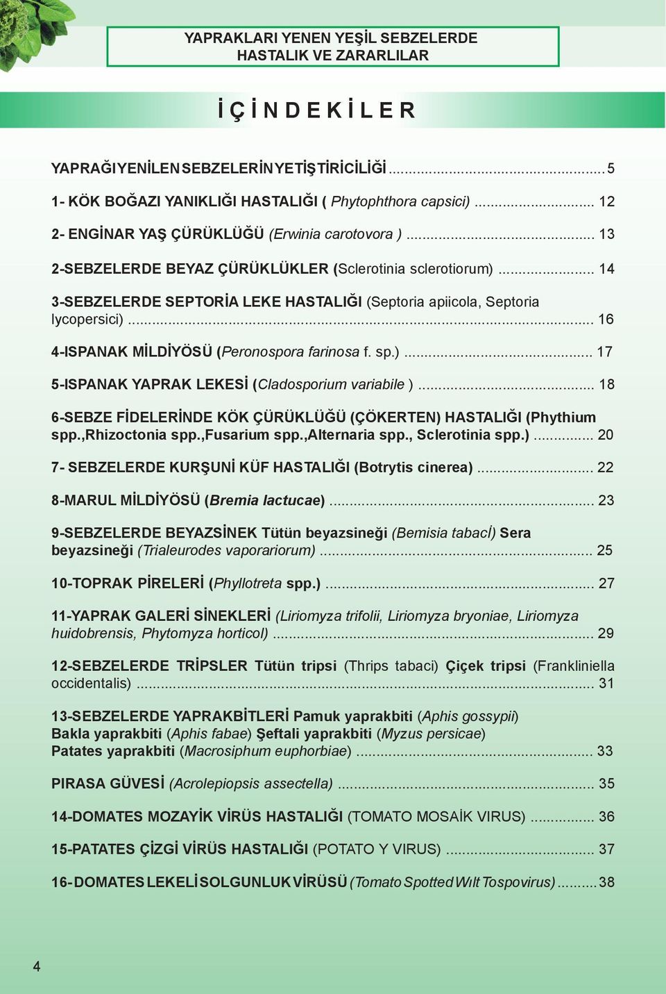 sp.)... 17 5-ISPANAK YAPRAK LEKESİ (Cladosporium variabile )... 18 6-SEBZE FİDELERİNDE KÖK ÇÜRÜKLÜĞÜ (ÇÖKERTEN) HASTALIĞI (Phythium spp.,rhizoctonia spp.,fusarium spp.,alternaria spp.