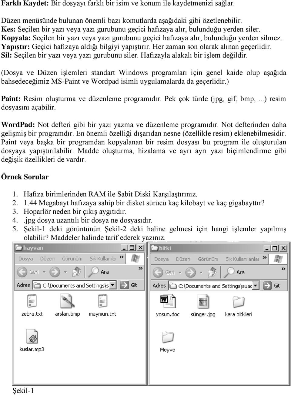 Yapıştır: Geçici hafızaya aldığı bilgiyi yapıştırır. Her zaman son olarak alınan geçerlidir. Sil: Seçilen bir yazı veya yazı gurubunu siler. Hafızayla alakalı bir işlem değildir.