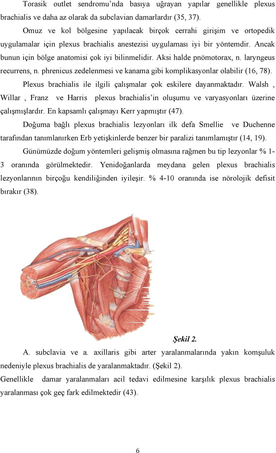 Aksi halde pnömotorax, n. laryngeus recurrens, n. phrenicus zedelenmesi ve kanama gibi komplikasyonlar olabilir (16, 78). Plexus brachialis ile ilgili çalışmalar çok eskilere dayanmaktadır.