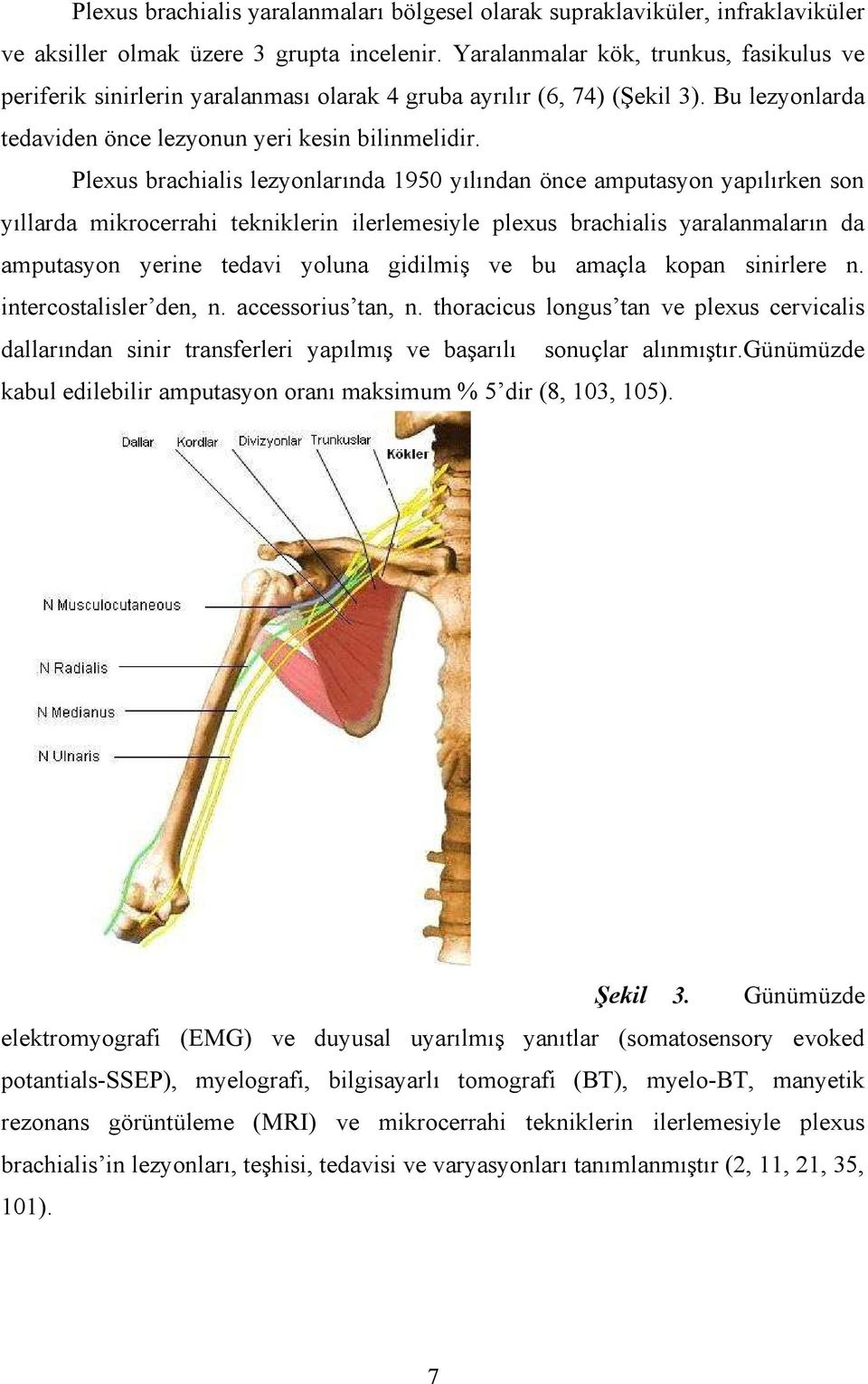 Plexus brachialis lezyonlarında 1950 yılından önce amputasyon yapılırken son yıllarda mikrocerrahi tekniklerin ilerlemesiyle plexus brachialis yaralanmaların da amputasyon yerine tedavi yoluna
