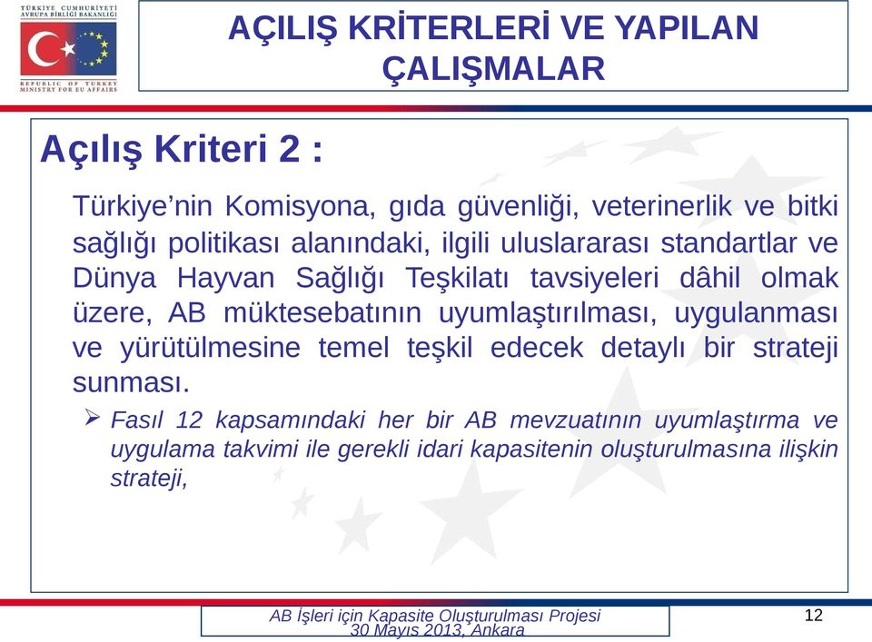 üzere, AB müktesebatının uyumlaştırılması, uygulanması ve yürütülmesine temel teşkil edecek detaylı bir strateji sunması.