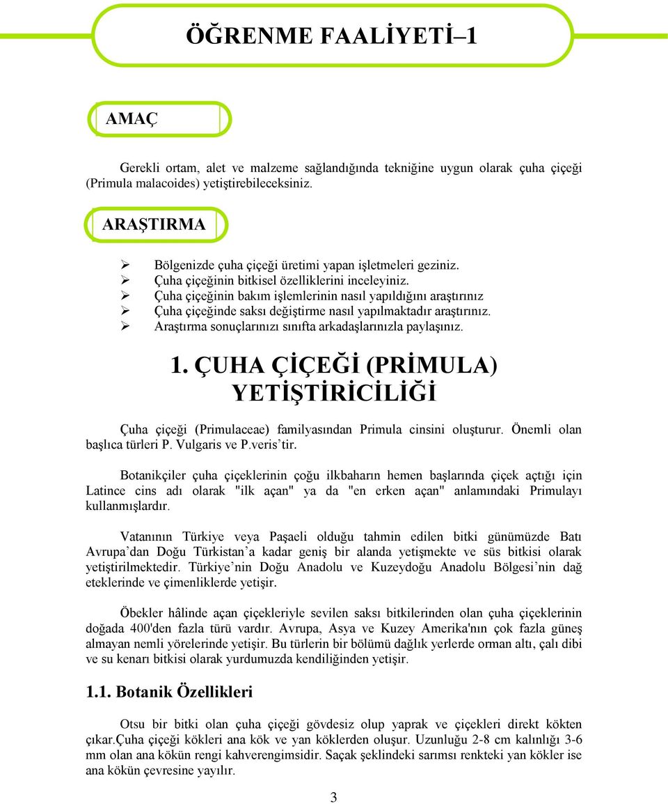 Çuha çiçeğinin bakım işlemlerinin nasıl yapıldığını araştırınız Çuha çiçeğinde saksı değiştirme nasıl yapılmaktadır araştırınız. Araştırma sonuçlarınızı sınıfta arkadaşlarınızla paylaşınız. 1.