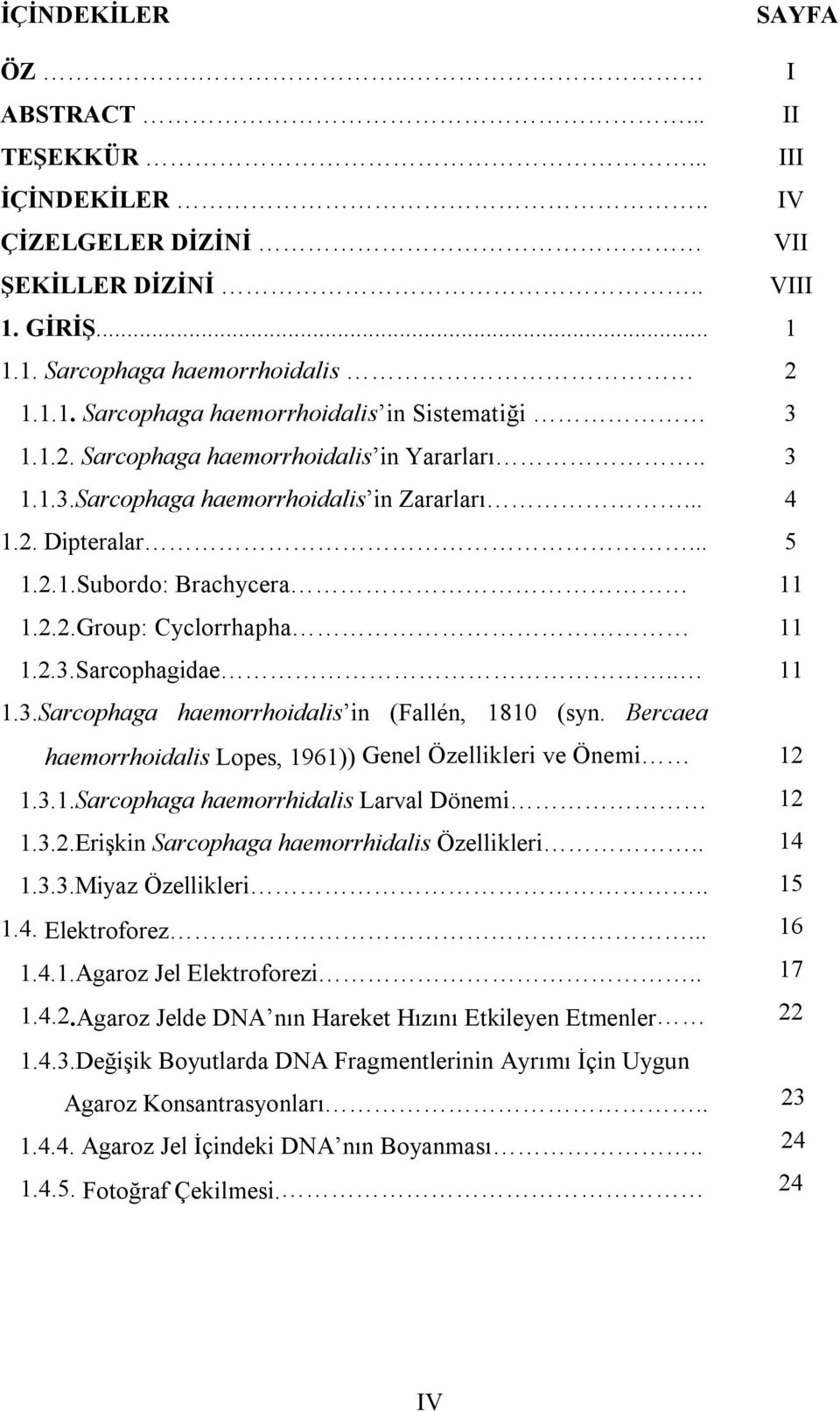 Bercaea haemorrhoidalis Lopes, 1961)) Genel Özellikleri ve Önemi 1.3.1.Sarcophaga haemorrhidalis Larval Dönemi 1.3.2.Erişkin Sarcophaga haemorrhidalis Özellikleri.. 1.3.3.Miyaz Özellikleri.. 1.4.