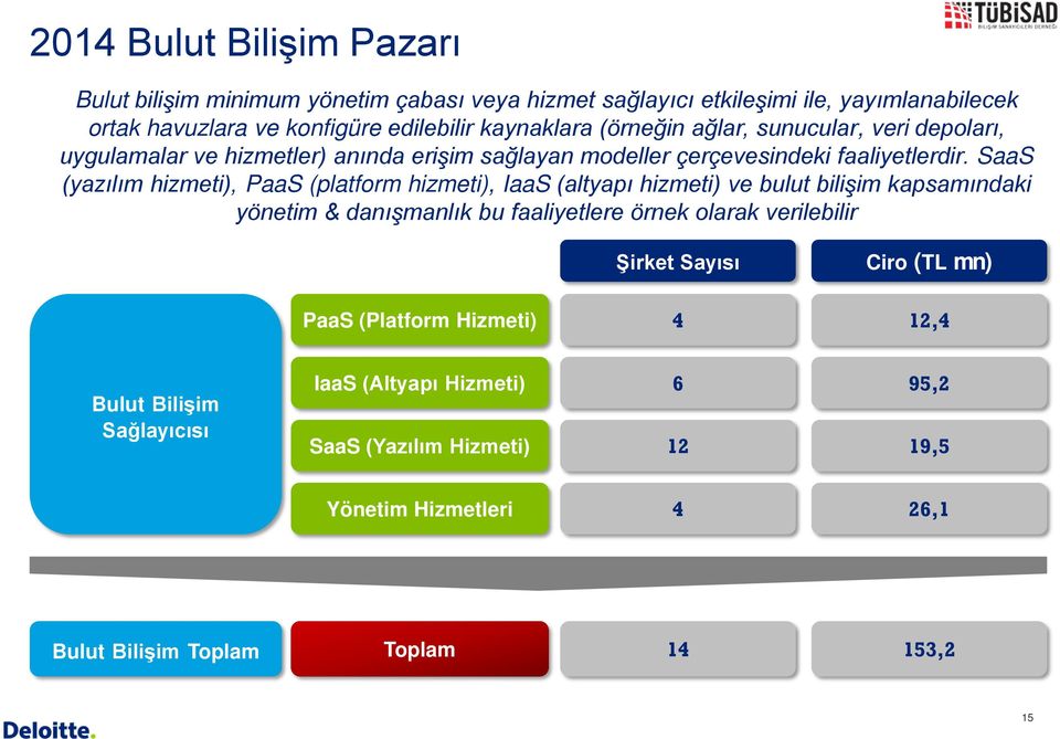 SaaS (yazılım hizmeti), PaaS (platform hizmeti), IaaS (altyapı hizmeti) ve bulut bilişim kapsamındaki yönetim & danışmanlık bu faaliyetlere örnek olarak verilebilir