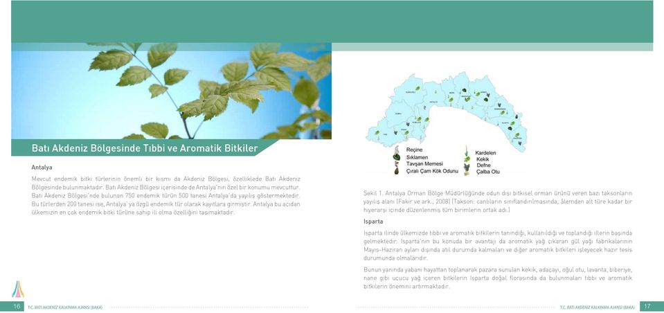 Bu türlerden 200 tanesi ise, Antalya ya özgü endemik tür olarak kayıtlara girmiştir. Antalya bu açıdan ülkemizin en çok endemik bitki türüne sahip ili olma özelliğini taşımaktadır. Şekil 1.