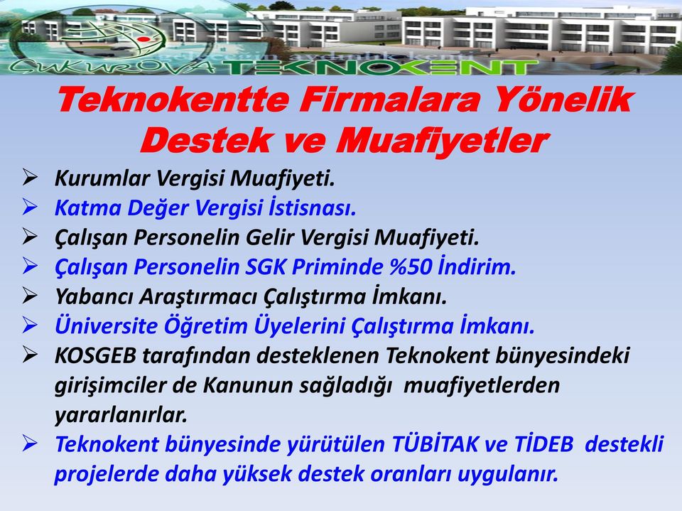 Üniversite Öğretim Üyelerini Çalıştırma İmkanı.