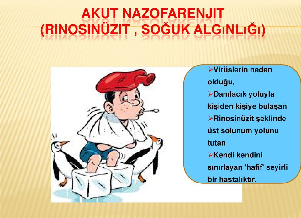 kişiye bulaşan Rinosinüzit şeklinde üst solunum yolunu