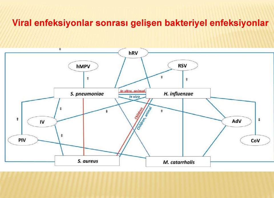 sonrası