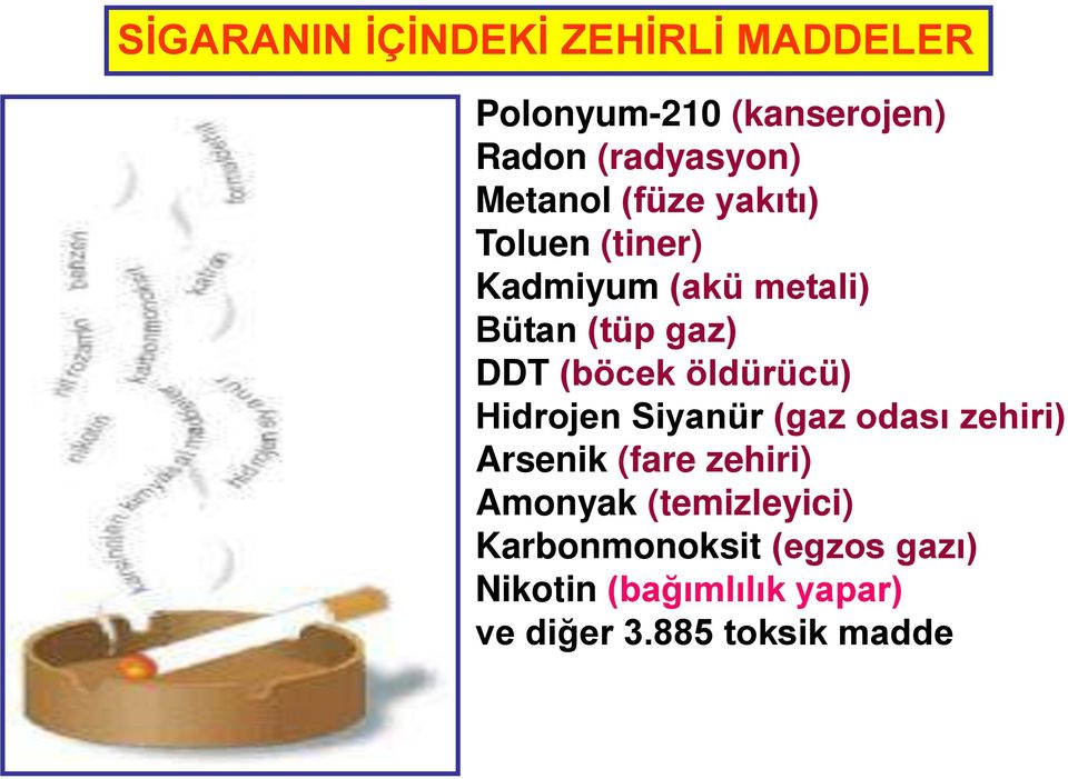 (böcek öldürücü) Hidrojen Siyanür (gaz odası zehiri) Arsenik (fare zehiri) Amonyak