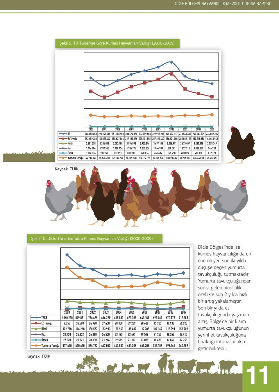 tavukçuluğu tutmaktadır. Yumurta tavukçuluğundan sonra gelen hindicilik özellikle son 2 yılda hızlı bir artış yakalamıştır.