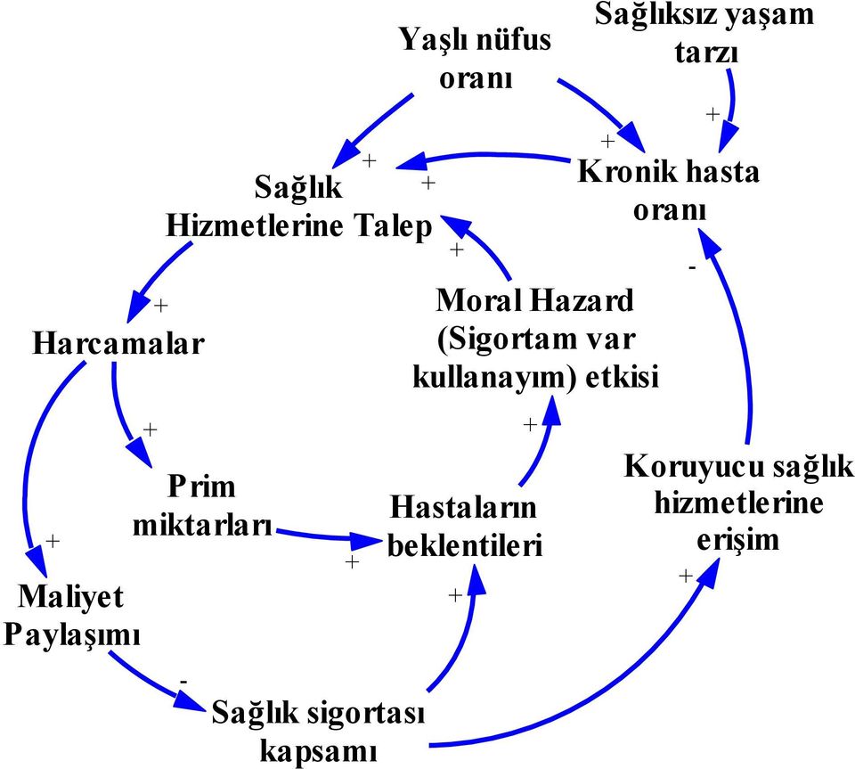 kapsamı Yaşlı nüfus Hastaların beklentileri Sağlıksız