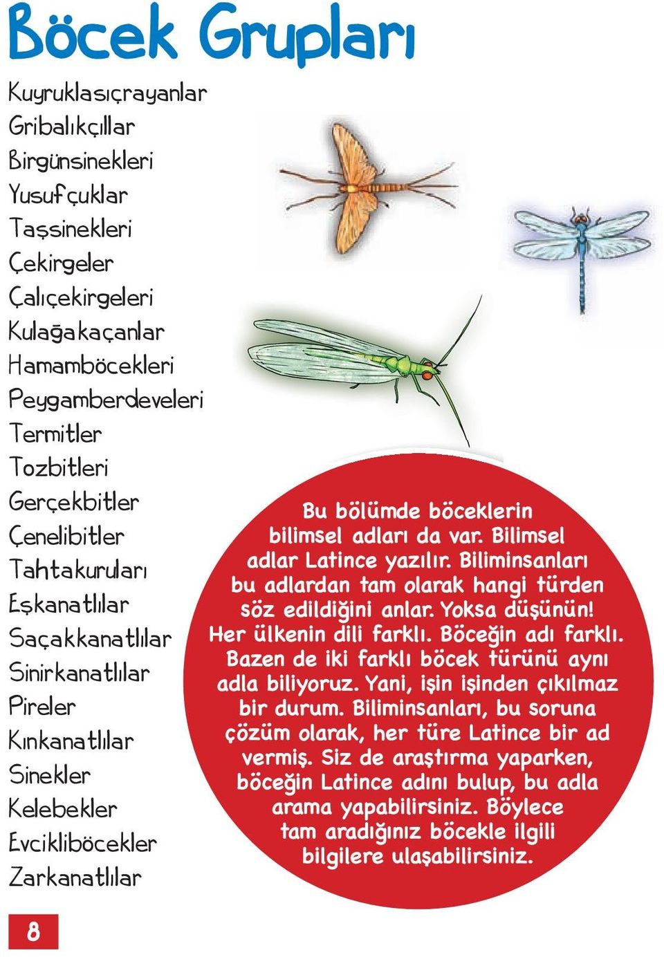 Bilimsel adlar Latince yazılır. Biliminsanları bu adlardan tam olarak hangi türden söz edildiğini anlar. Yoksa düşünün! Her ülkenin dili farklı. Böceğin adı farklı.