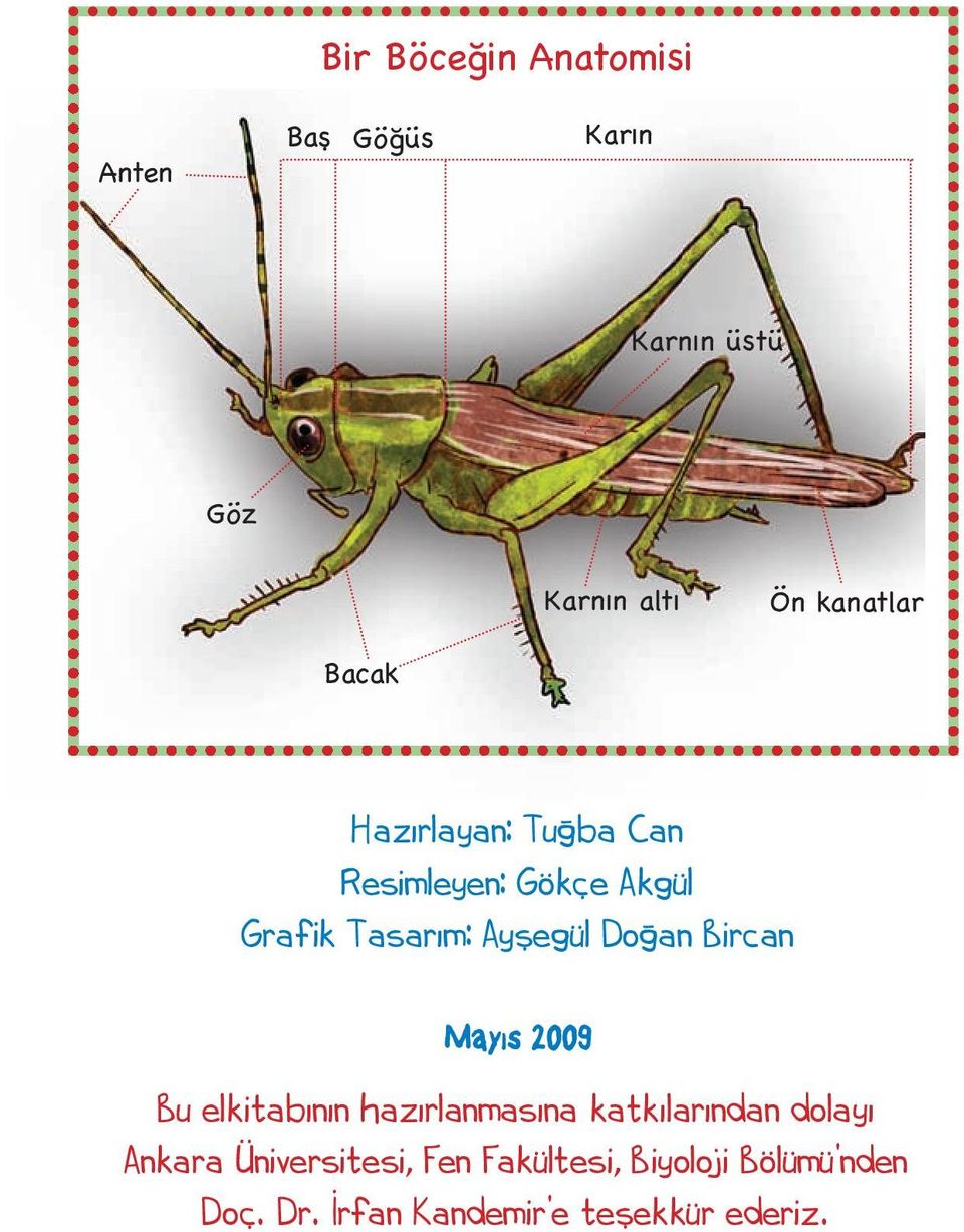 Bircan Mayıs 2009 Bu elkitabının hazırlanmasına katkılarından dolayı Ankara