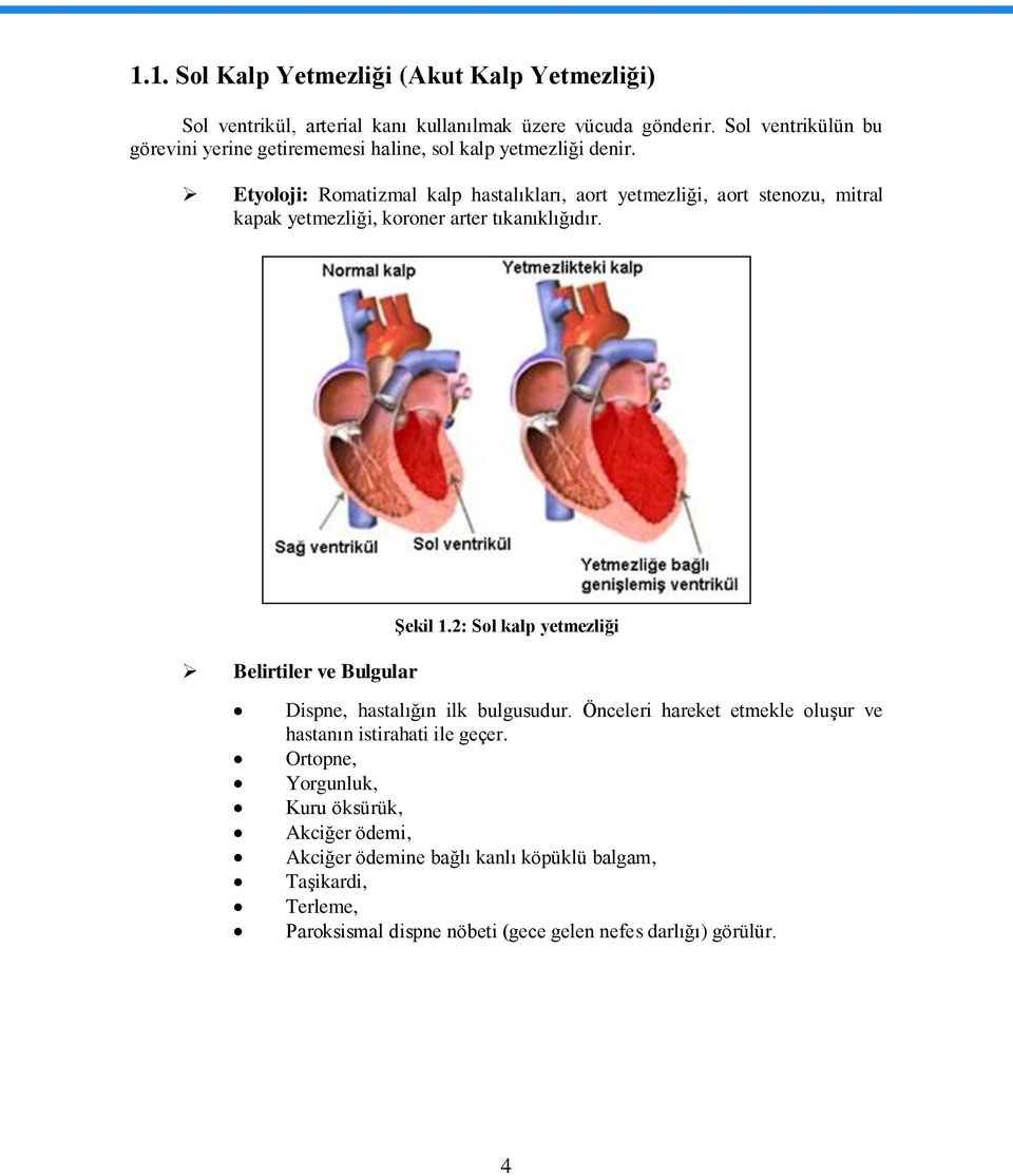 Etyoloji: Romatizmal kalp hastalıkları, aort yetmezliği, aort stenozu, mitral kapak yetmezliği, koroner arter tıkanıklığıdır. Belirtiler ve Bulgular ġekil 1.