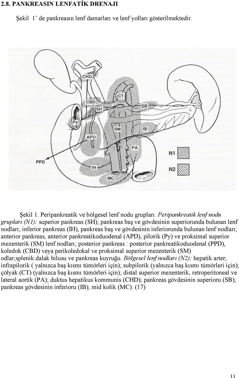 lenf nodları; anterior pankreas, anterior pankreatikoduodenal (APD), pilorik (Py) ve proksimal superior mezenterik (SM) lenf nodları; posterior pankreas : posterior pankreatikoduodenal (PPD), koledok
