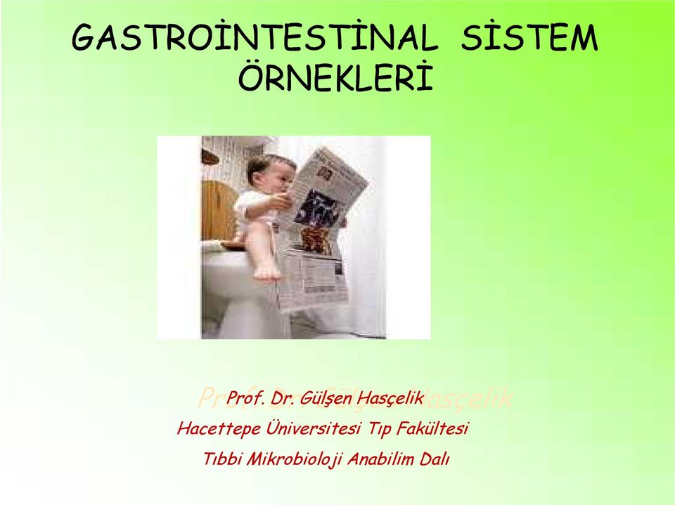 Gülşen Hasçelik Hasçelik Hacettepe