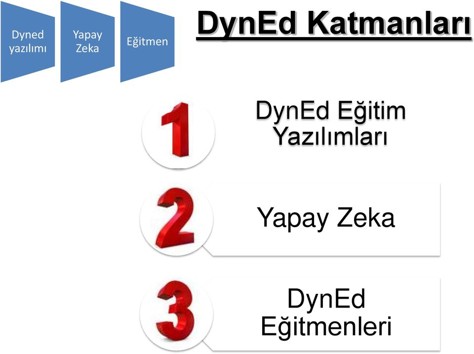 DynEd Eğitim Yazılımları