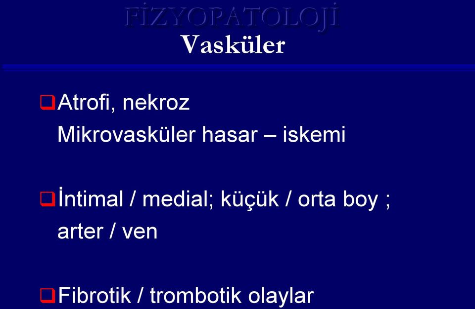 İntimal / medial; küçük / orta boy