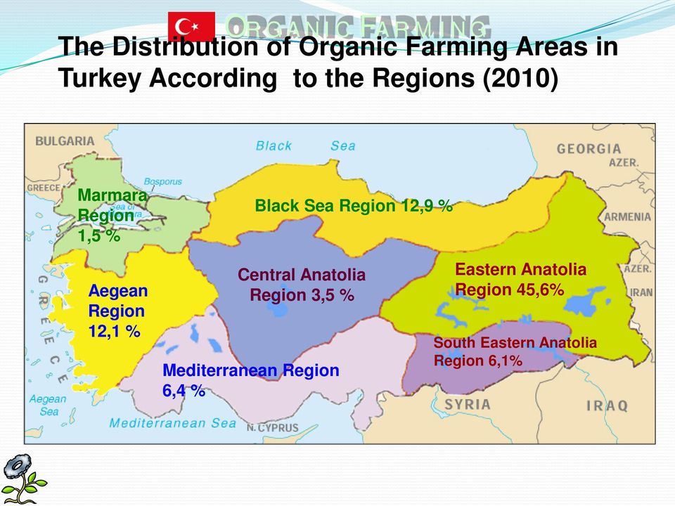 Aegean Region 12,1 % Central Anatolia Region 3,5 % Mediterranean