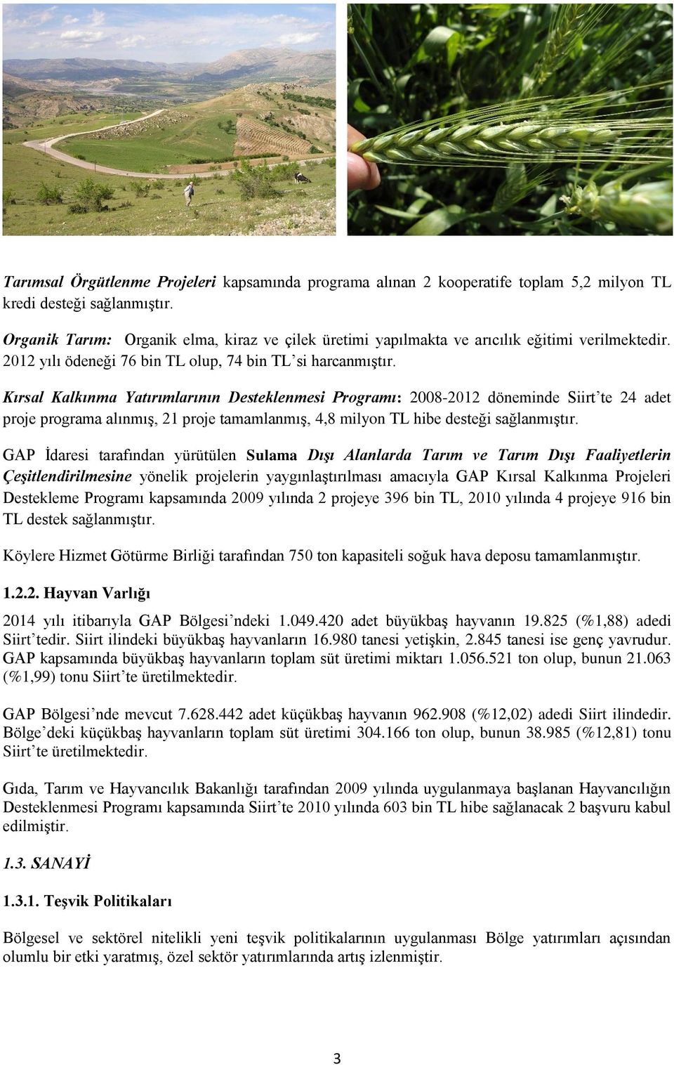 Kırsal Kalkınma Yatırımlarının Desteklenmesi Programı: 2008-2012 döneminde Siirt te 24 adet proje programa alınmış, 21 proje tamamlanmış, 4,8 milyon TL hibe desteği sağlanmıştır.