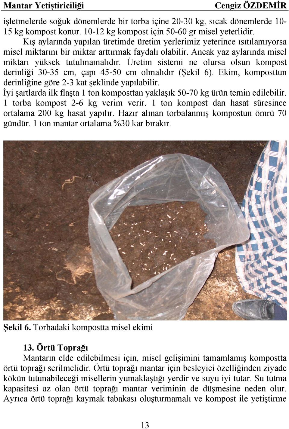 Üretim sistemi ne olursa olsun kompost derinliği 30-35 cm, çapı 45-50 cm olmalıdır (Şekil 6). Ekim, komposttun derinliğine göre 2-3 kat şeklinde yapılabilir.