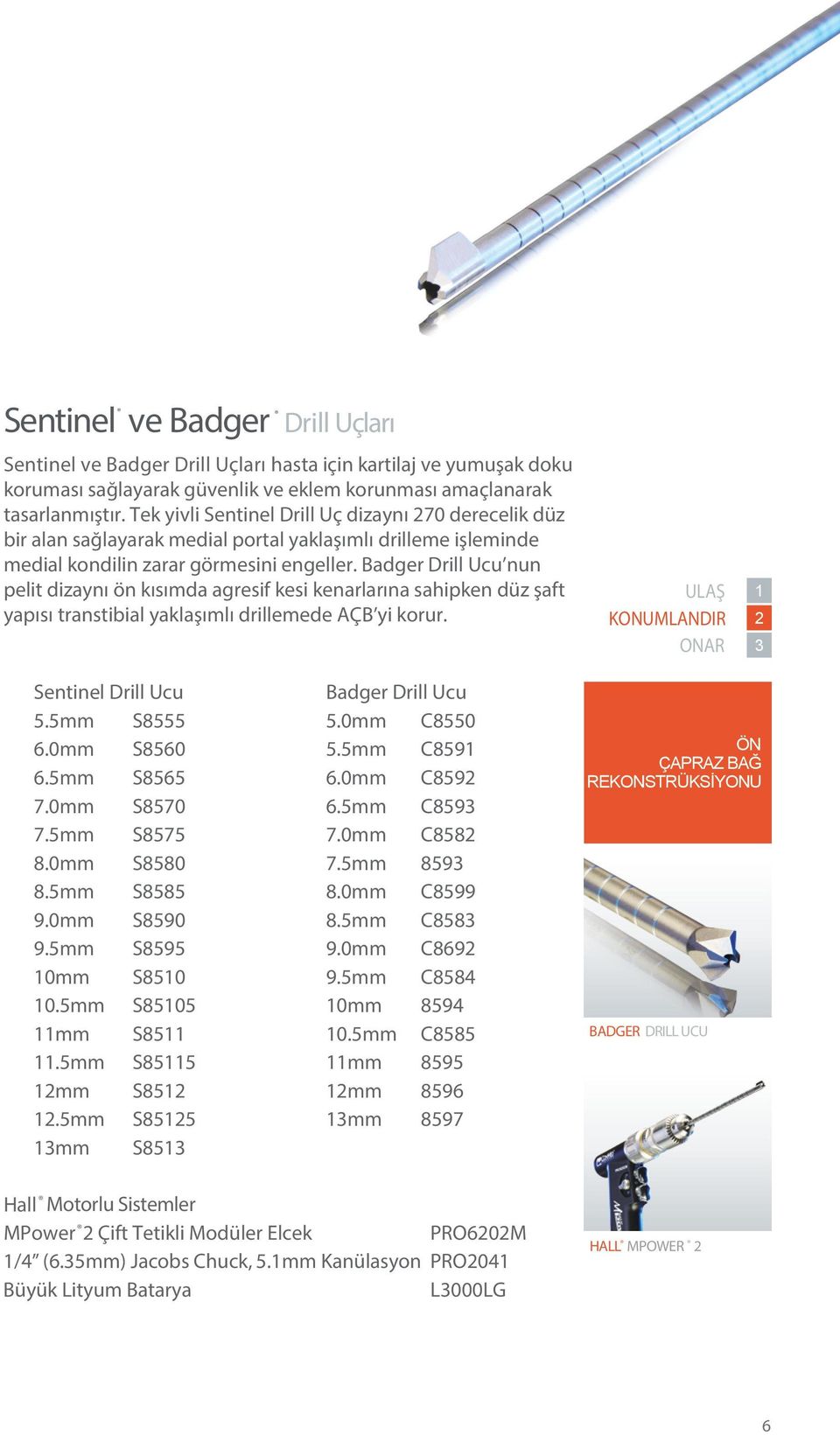 Badger Drill Ucu nun pelit dizaynı ön kısımda agresif kesi kenarlarına sahipken düz şaft yapısı transtibial yaklaşımlı drillemede AÇB yi korur. 1 Sentinel Drill Ucu Badger Drill Ucu 5.5mm S8555 5.