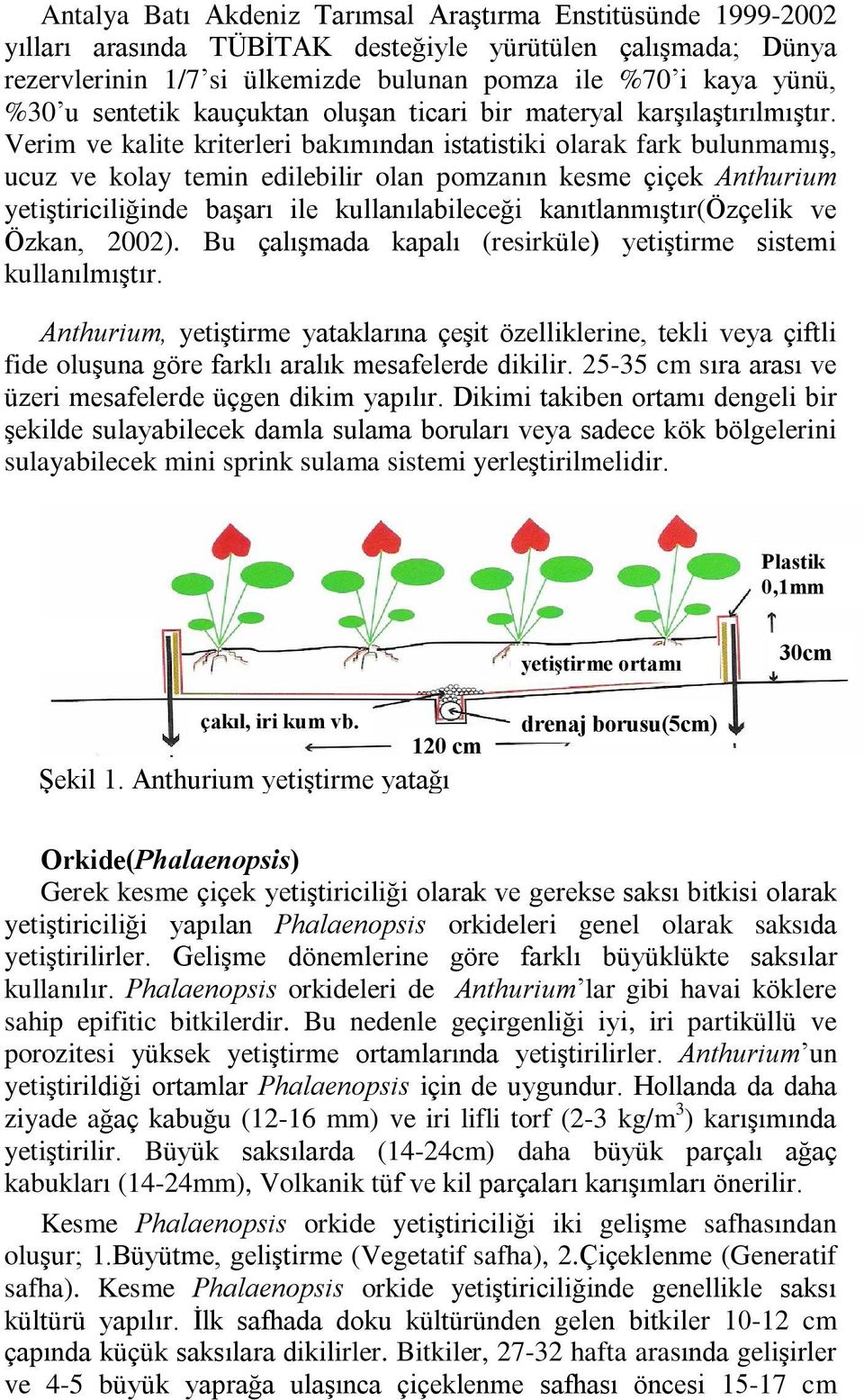 Verim ve kalite kriterleri bakýmýndan istatistiki olarak fark bulunmamýº, ucuz ve kolay temin edilebilir olan pomzanýn kesme çiçek yetiºtiriciliðinde baºarý ile kullanýlabileceði