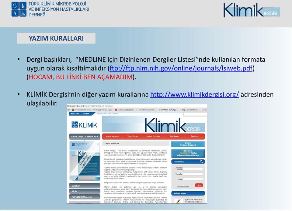 gov/online/journals/lsiweb.pdf) (HOCAM, BU LİNKİ BEN AÇAMADIM).