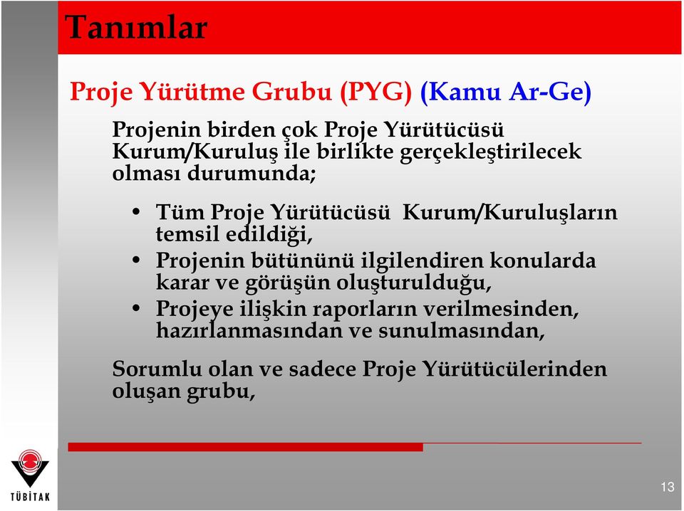 Projenin bütününü ilgilendiren konularda karar ve görüşün oluşturulduğu, Projeye ilişkin raporların