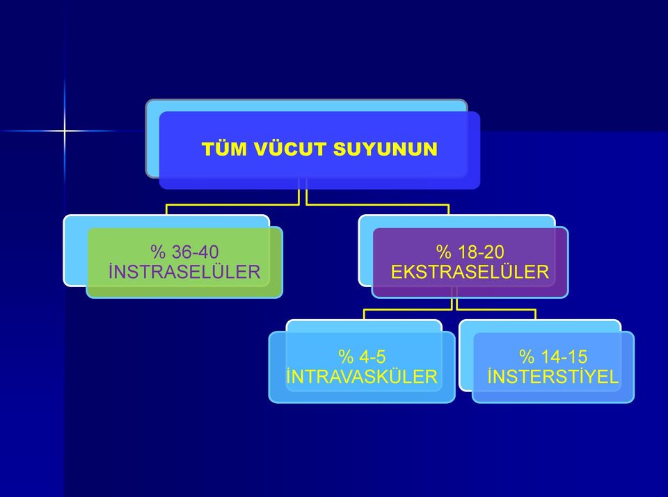 EKSTRASELÜLER % 4-5