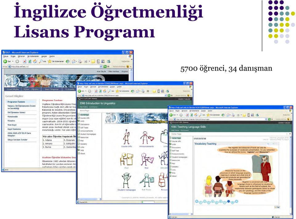 Lisans Programı