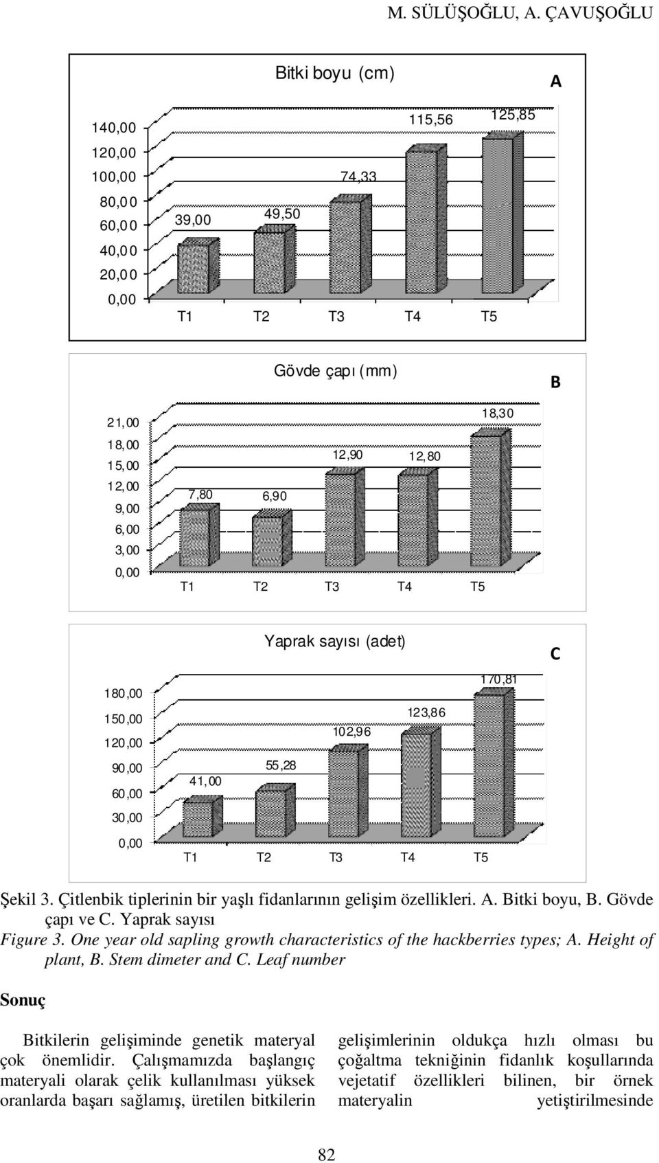 Çitlenbik tiplerinin bir yaşlı fidanlarının gelişim özellikleri. A. Bitki boyu, B. Gövde çapı ve C. Yaprak sayısı Figure 3. One year old sapling growth characteristics of the hackberries types; A.