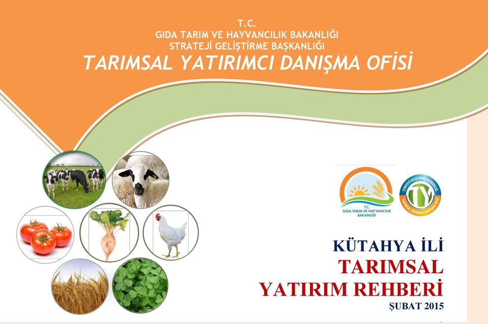 BAŞKANLIĞI TARIMSAL YATIRIMCI DANIŞMA