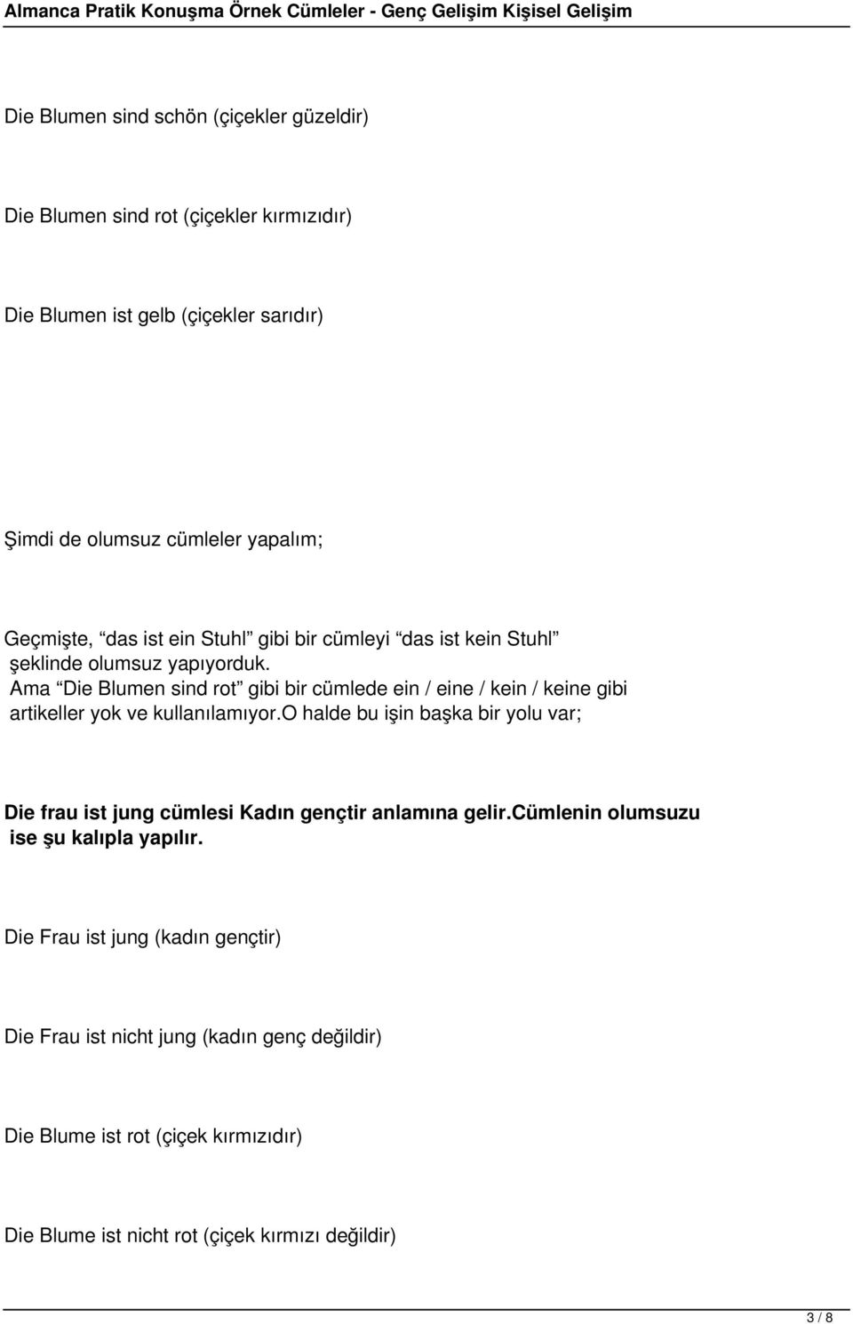 Ama Die Blumen sind rot gibi bir cümlede ein / eine / kein / keine gibi artikeller yok ve kullanılamıyor.