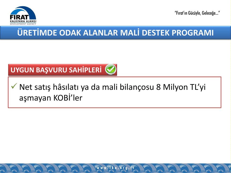 Net satış hâsılatı ya da mali