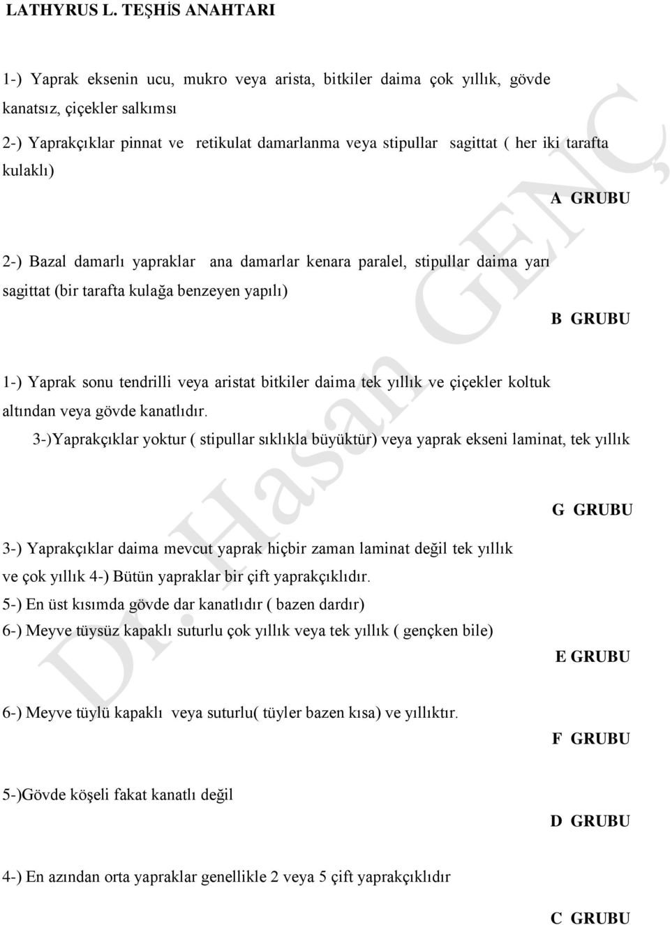 iki tarafta kulaklı) A GRUBU 2-) Bazal damarlı yapraklar ana damarlar kenara paralel, stipullar daima yarı sagittat (bir tarafta kulağa benzeyen yapılı) B GRUBU 1-) Yaprak sonu tendrilli veya aristat