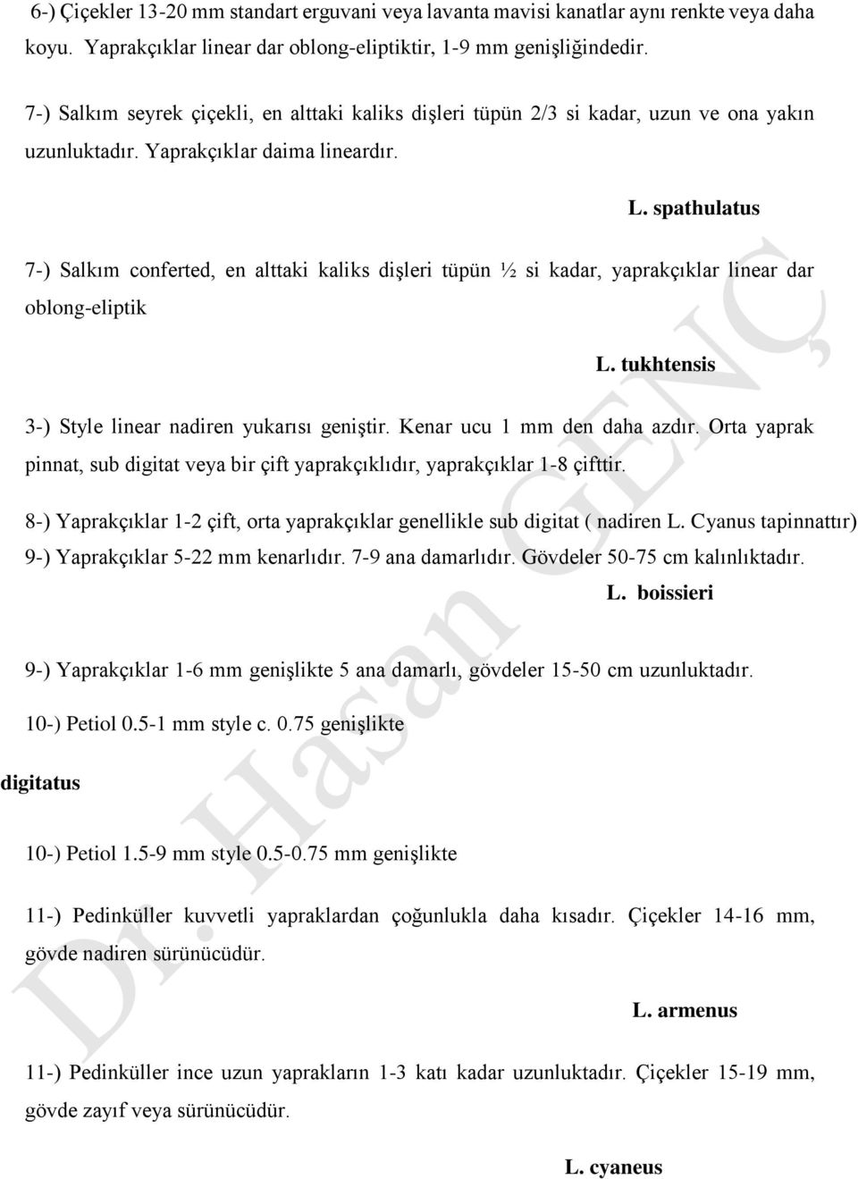 spathulatus 7-) Salkım conferted, en alttaki kaliks dişleri tüpün ½ si kadar, yaprakçıklar linear dar oblong-eliptik L. tukhtensis 3-) Style linear nadiren yukarısı geniştir.