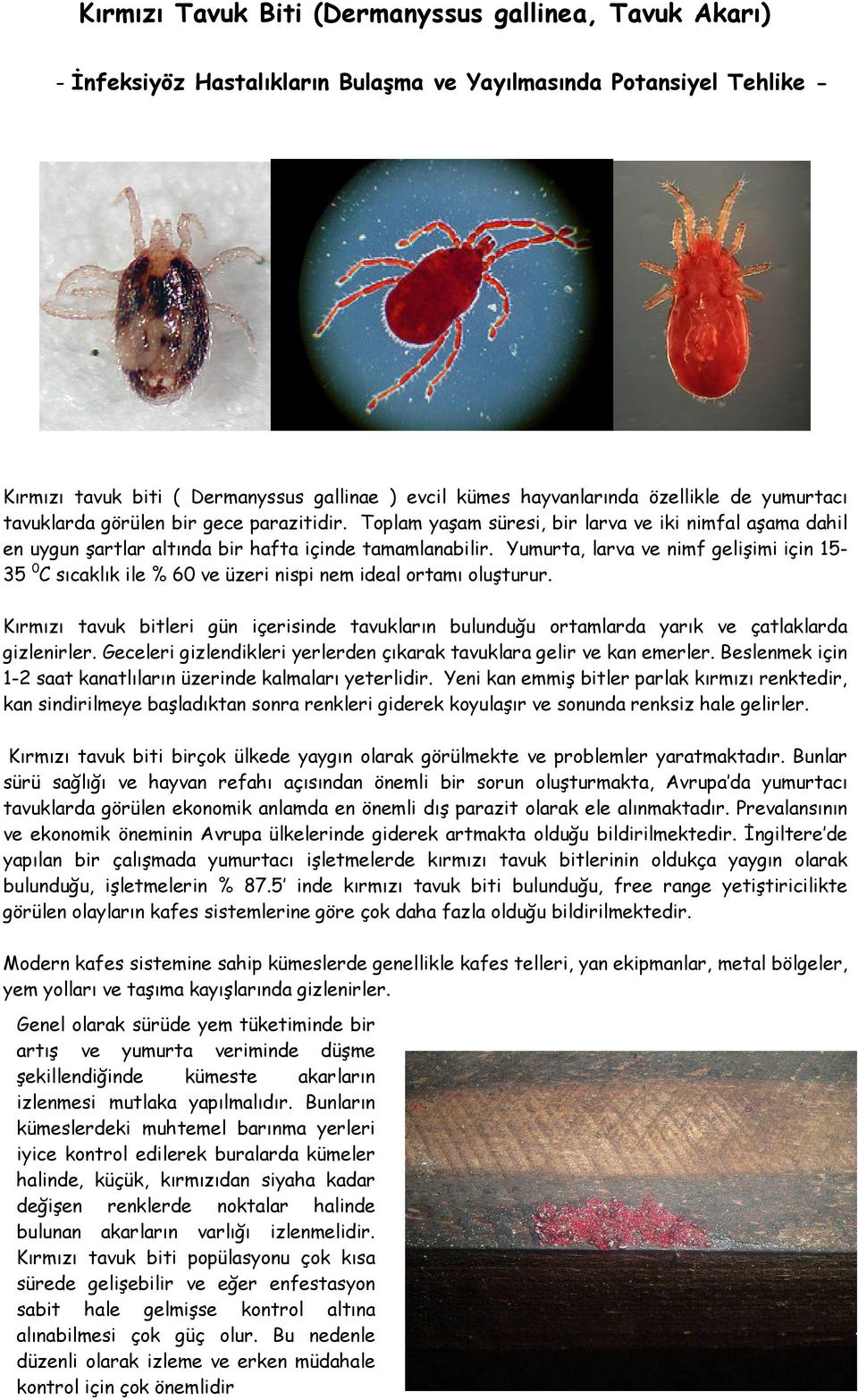 Kırmızı Tavuk Biti (Dermanyssus gallinea, Tavuk Akarı) - PDF Free Download