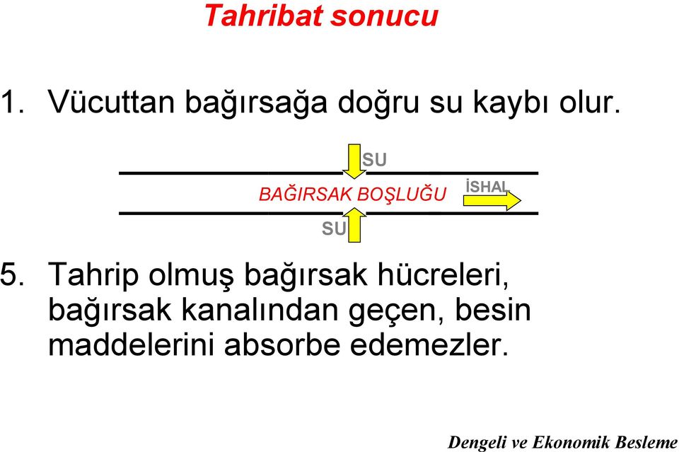 SU BAĞIRSAK BOŞLUĞU İSHAL SU 5.