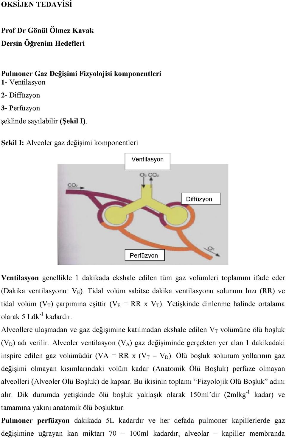 Tidal volüm sabitse dakika ventilasyonu solunum hızı (RR) ve tidal volüm (V T ) çarpımına eşittir (V E = RR x V T ). Yetişkinde dinlenme halinde ortalama olarak 5 Ldk -1 kadardır.