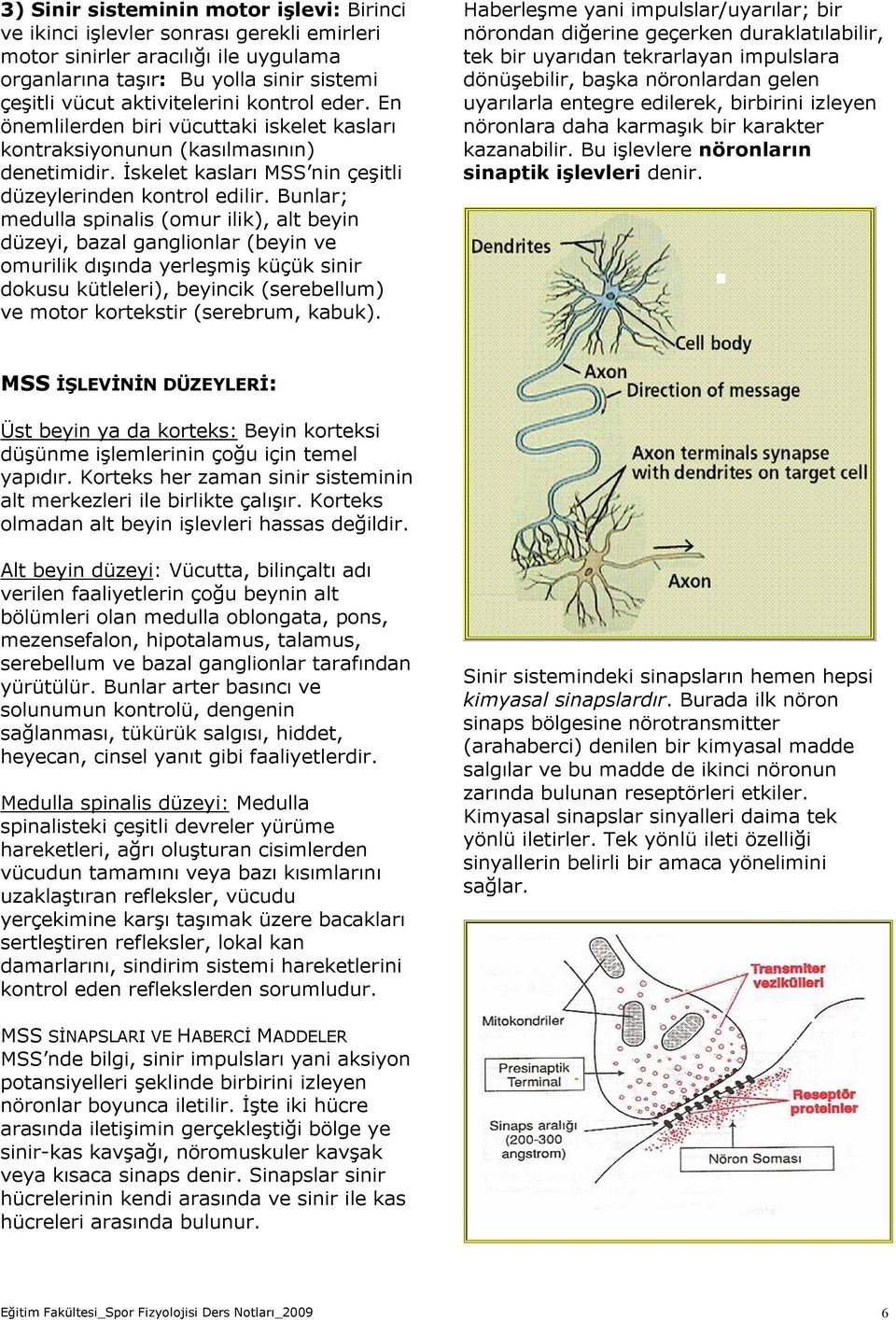 Bunlar; medulla spinalis (omur ilik), alt beyin düzeyi, bazal ganglionlar (beyin ve omurilik dışında yerleşmiş küçük sinir dokusu kütleleri), beyincik (serebellum) ve motor kortekstir (serebrum,