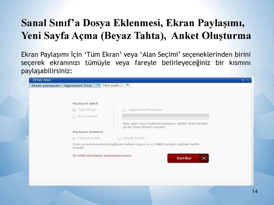 veya Alan Seçimi seçeneklerinden birini seçerek ekranınızı