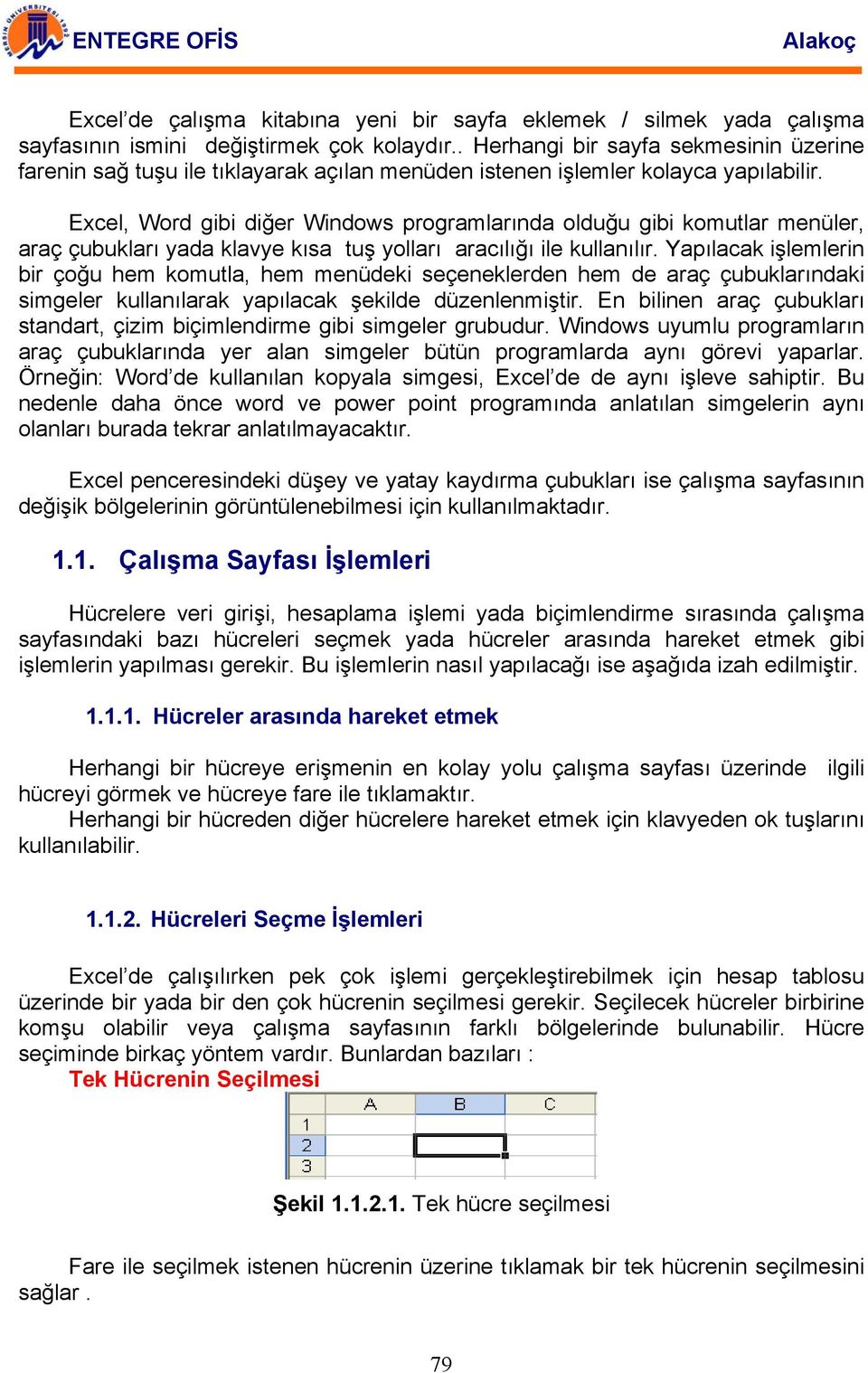 Excel, Word gibi diğer Windows programlarında olduğu gibi komutlar menüler, araç çubukları yada klavye kısa tuş yolları aracılığı ile kullanılır.