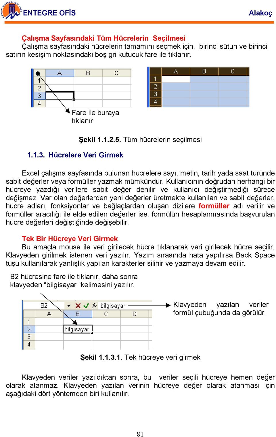 Tüm hücrelerin seçilmesi Excel çalışma sayfasında bulunan hücrelere sayı, metin, tarih yada saat türünde sabit değerler veya formüller yazmak mümkündür.