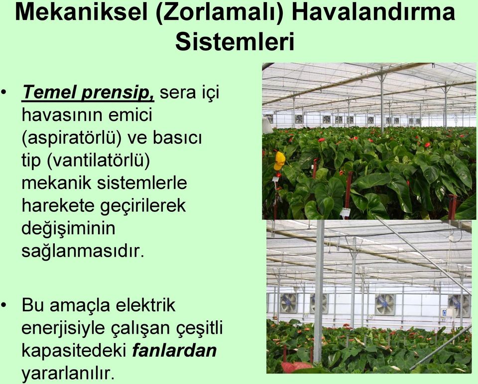 sistemlerle harekete geçirilerek değişiminin sağlanmasıdır.