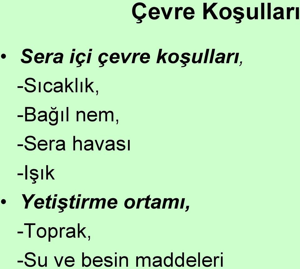 -Sera havası -Işık Yetiştirme