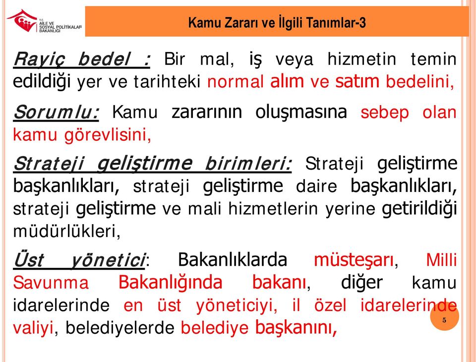 geliştirme daire başkanlıkları, strateji geliştirme ve mali hizmetlerin yerine getirildiği müdürlükleri, Üst yönetici: Bakanlıklarda