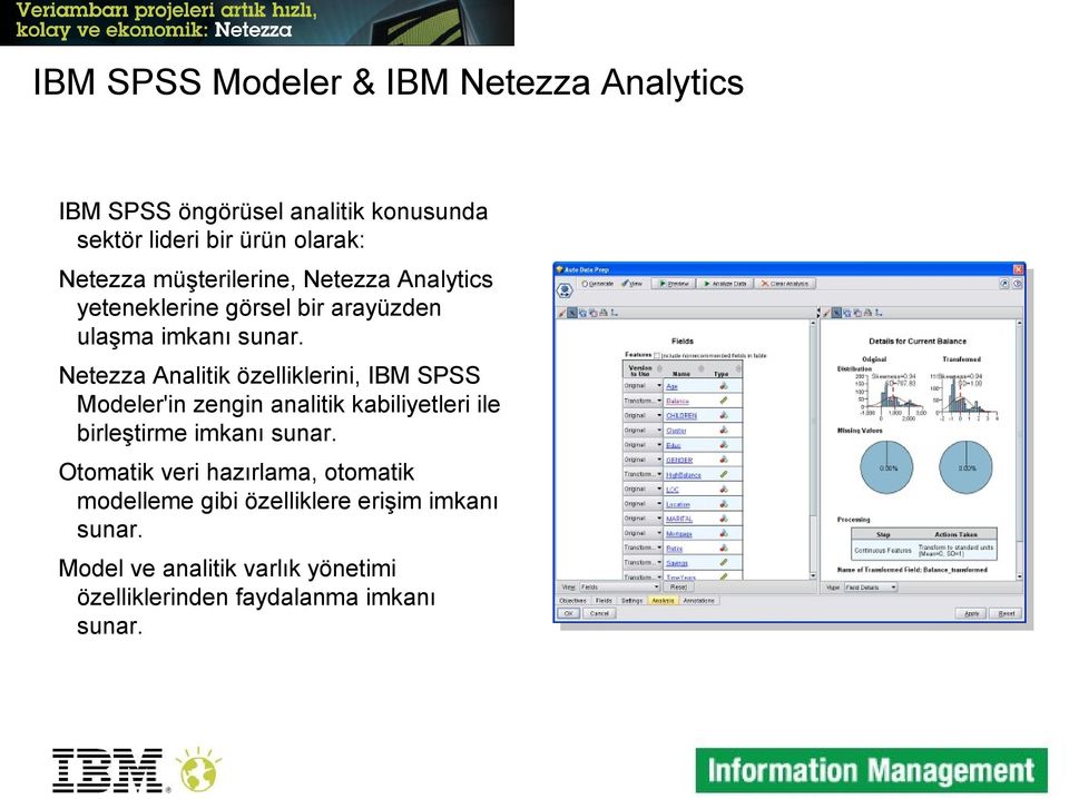 Netezza Analitik özelliklerini, IBM SPSS Modeler'in zengin analitik kabiliyetleri ile birleştirme imkanı sunar.