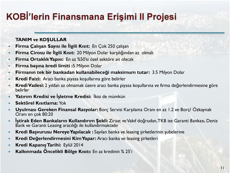 5 Milyon Dolar Kredi Faizi: Aracı banka piyasa koşullarına göre belirler Kredi Vadesi: 2 yıldan az olmamak üzere aracı banka piyasa koşullarına ve firma değerlendirmesine göre belirler Yatırım