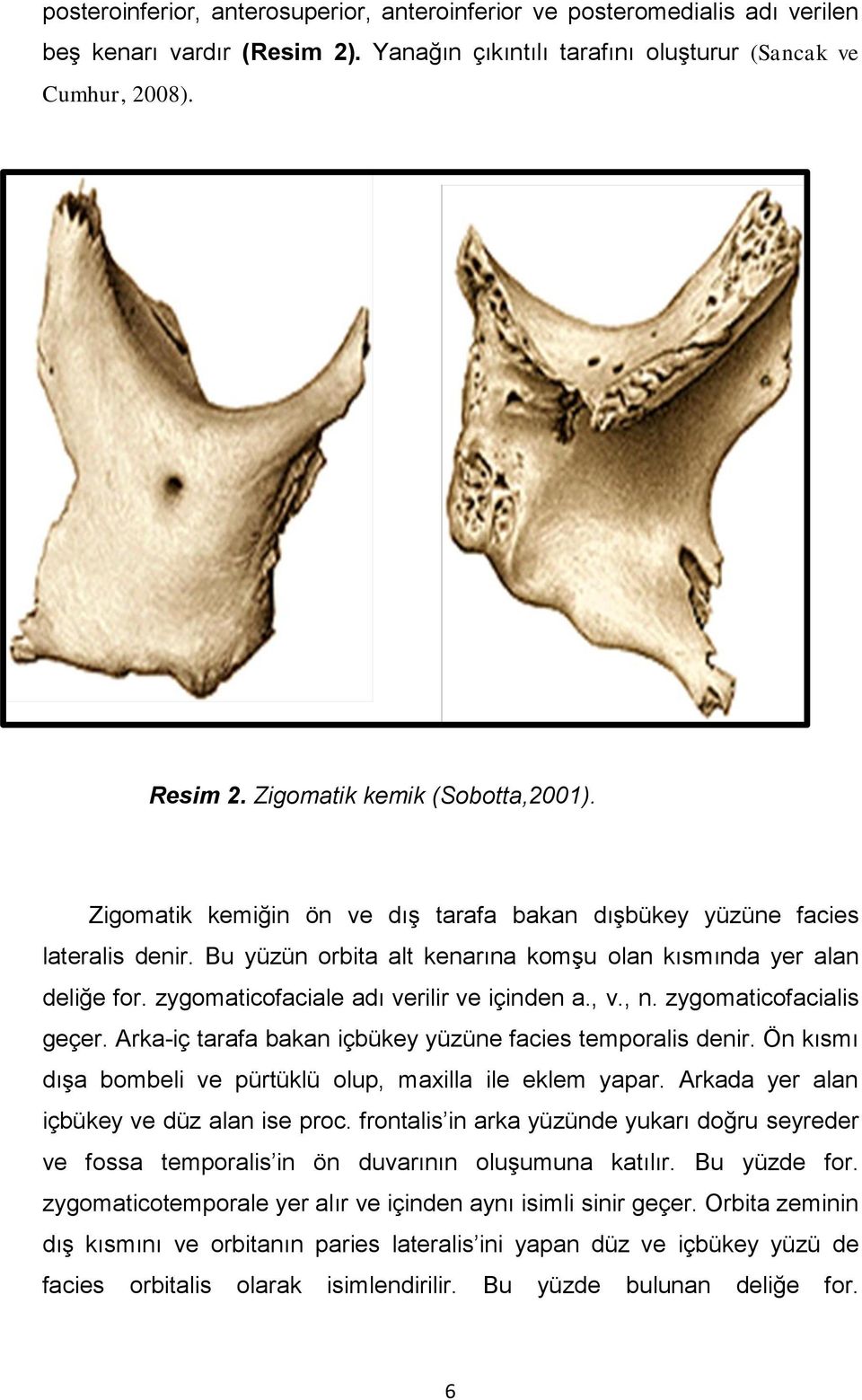 zygomaticofaciale adı verilir ve içinden a., v., n. zygomaticofacialis geçer. Arka-iç tarafa bakan içbükey yüzüne facies temporalis denir.